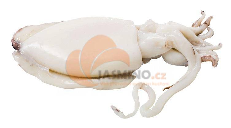 Obrázek k výrobku 5170 - ASIFO mraz. cuttlefish U1