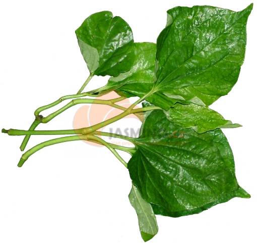 Obrázek k výrobku 4821 - RAU betelové lísty "lá lốt" 100g