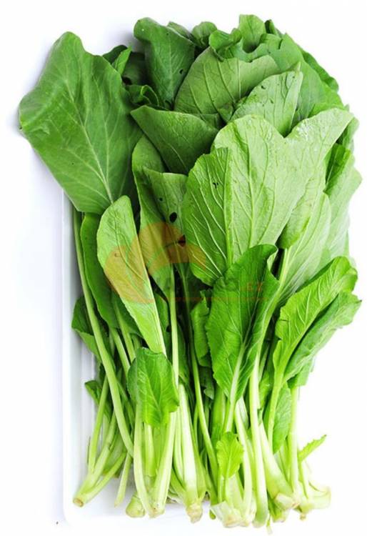 Obrázek k výrobku 4762 - RAU Choi Sam "cai Ngot" 1kg