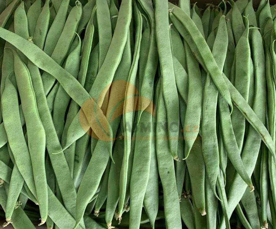 Obrázek k výrobku 4813 - RAU Fazole 1kg