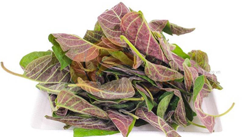 Obrázek k výrobku 4764 - RAU listy mo 1bal