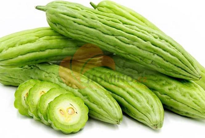Obrázek k výrobku 4765 - RAU muop dang/ Hořký meloun 1bal 0,5kg