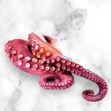 Obrázek k výrobku 4262 - SEASTORY Stehna z chobotnice vařené, mražené 260g