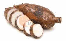 Obrázek k výrobku 5154 - Maniok čerstvý 1kg