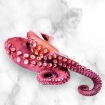 Obrázek k výrobku 4262 - SEASTORY Stehna z chobotnice vařené, mražené 260g